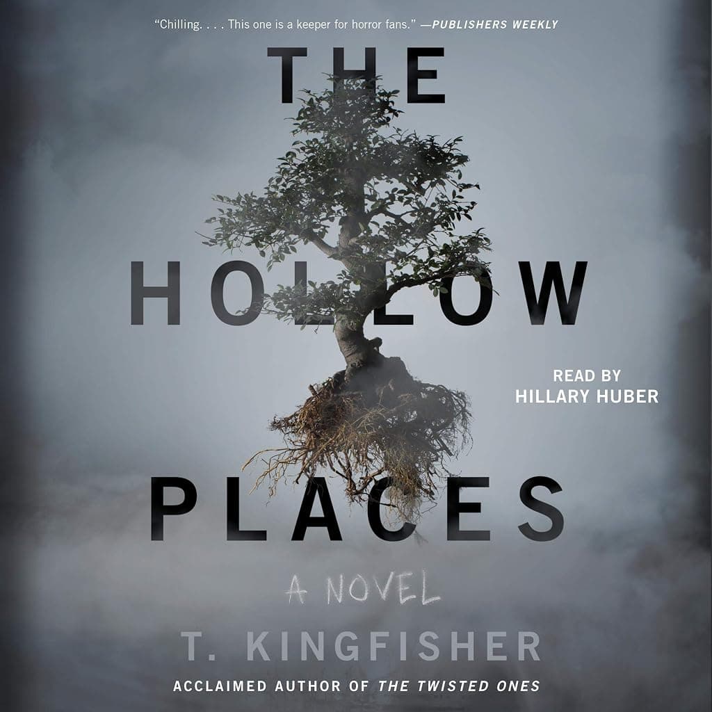 Titelbild von The Hollow Places