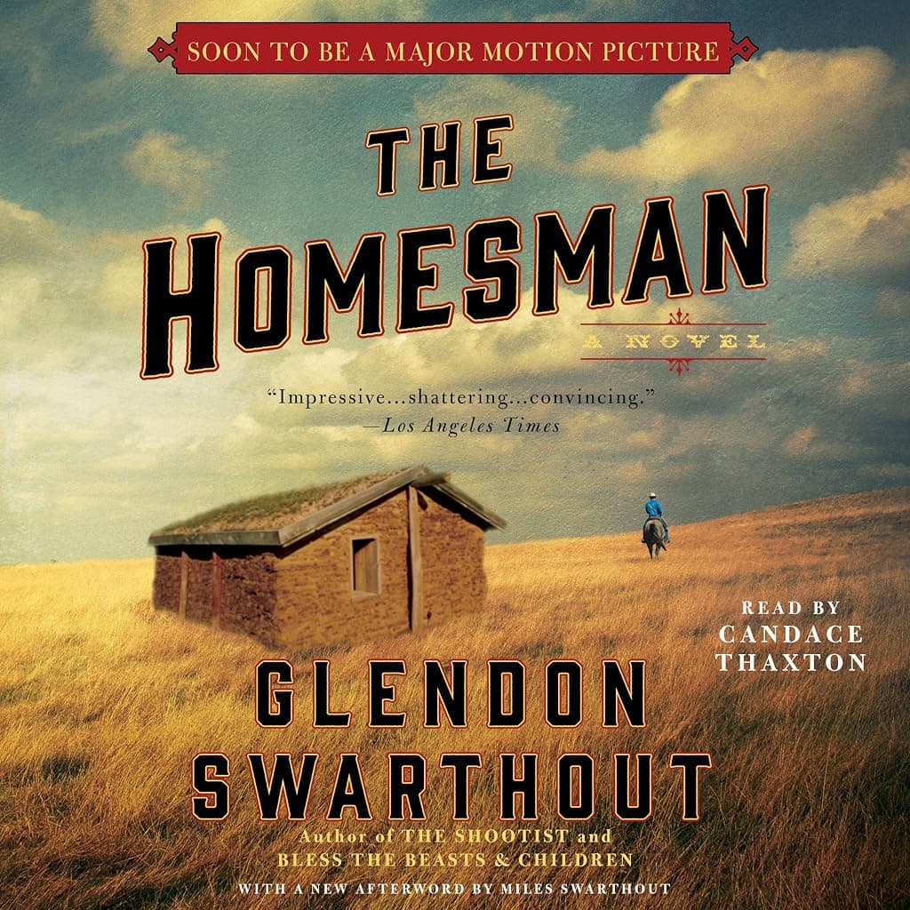 Titelbild von The Homesman