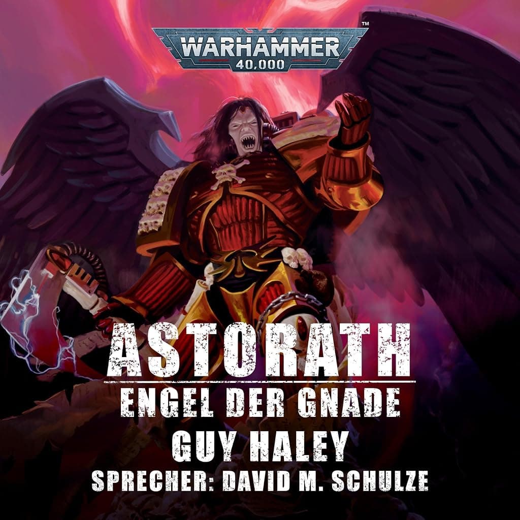 Titelbild von Engel der Gnade