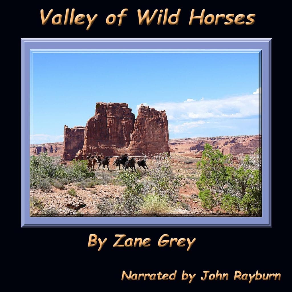 Titelbild von Valley of Wild Horses