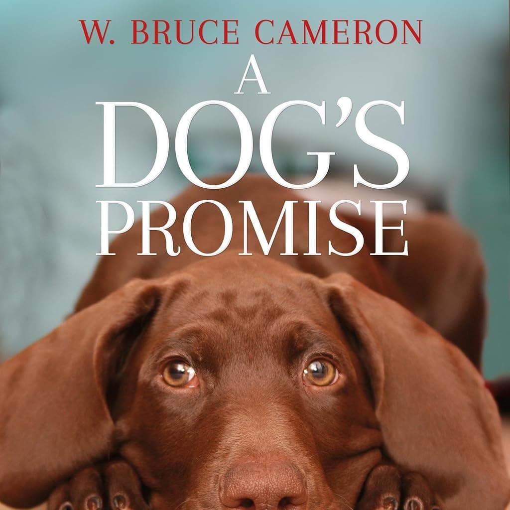 Titelbild von A Dog's Promise