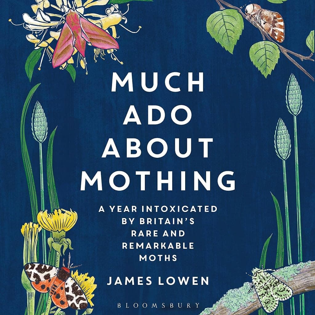 Titelbild von Much Ado About Mothing