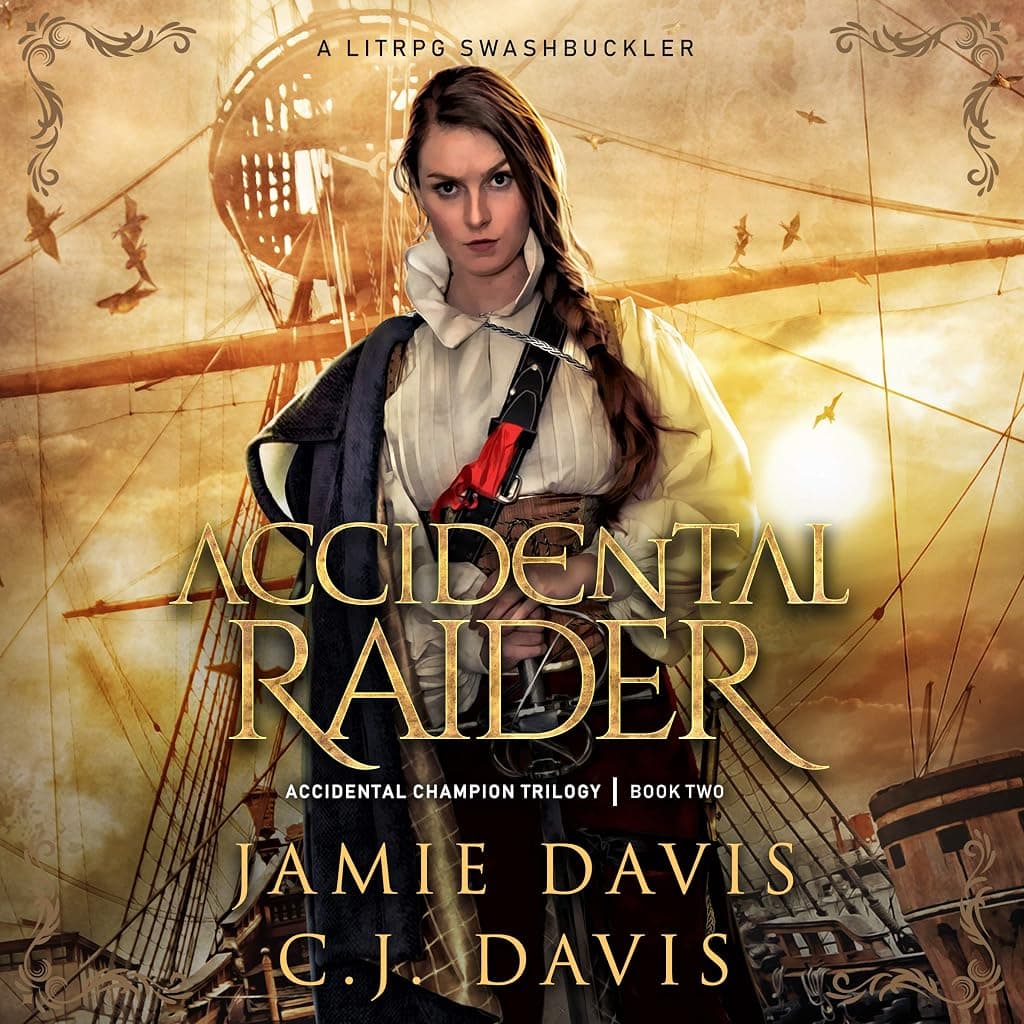 Titelbild von Accidental Raider